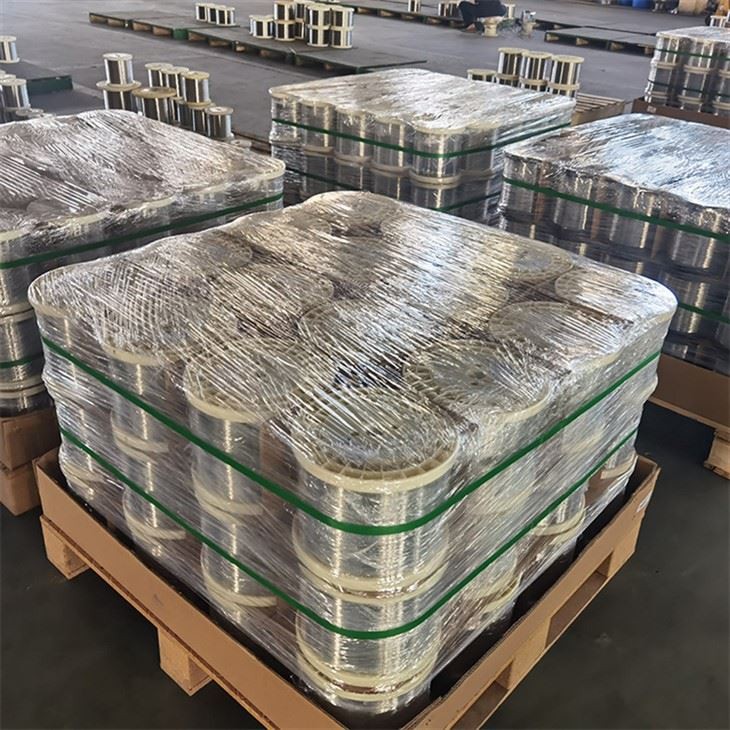 A580 Stainless Steel Wire (3)